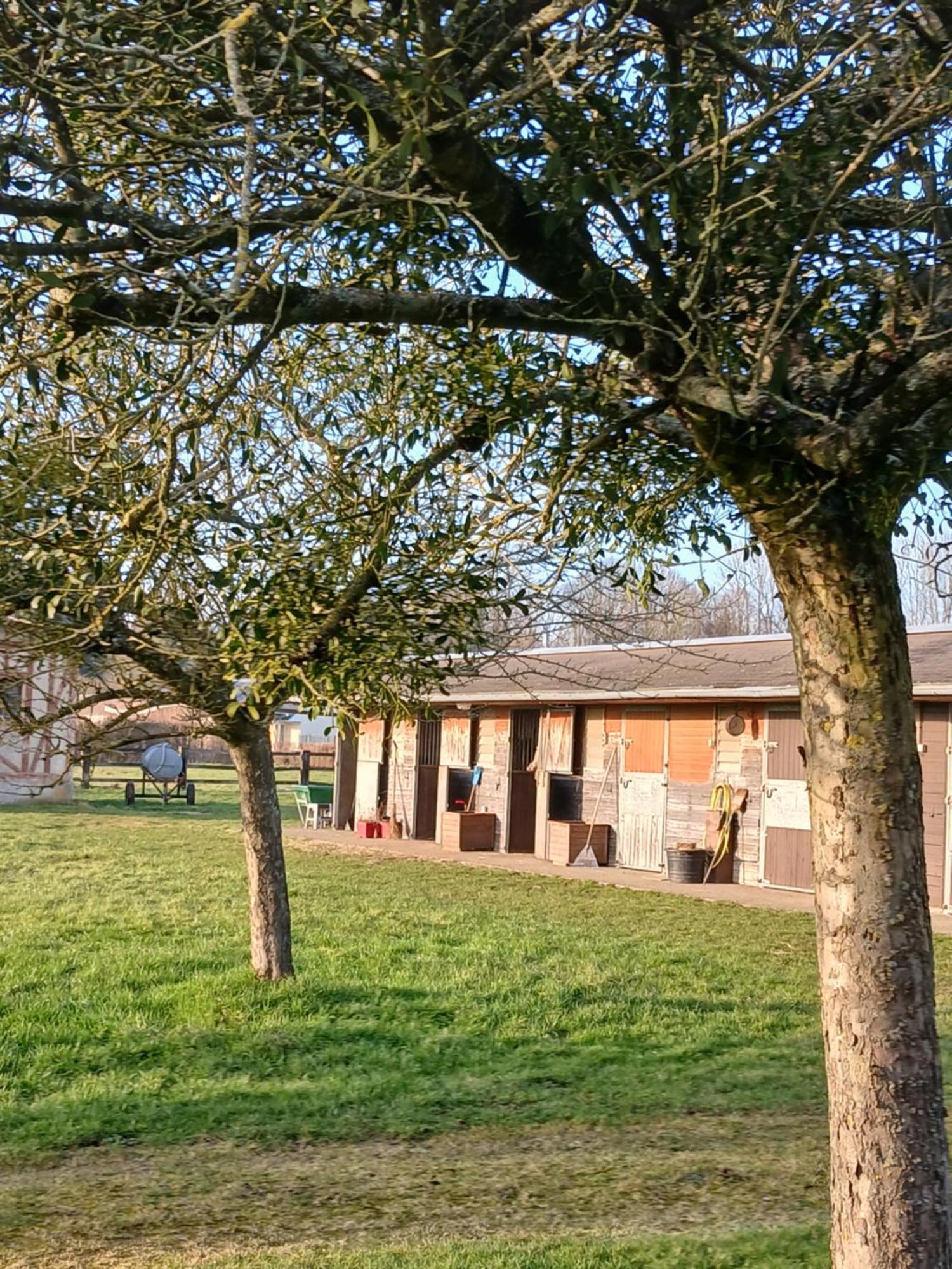Domaine Des Ifs Acomodação com café da manhã Le Pin  Exterior foto